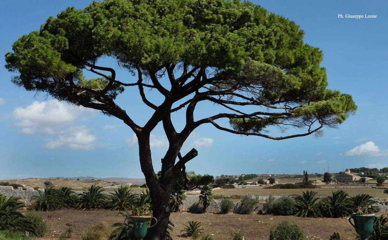 Villa Castiglione 1863 - The Real Sicilian Holiday Рагуза Экстерьер фото